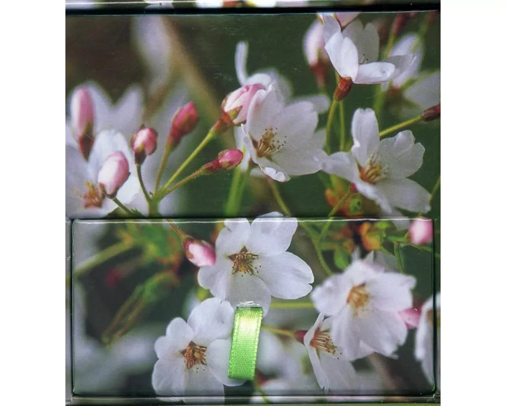 Memo Block Cherry Blossom