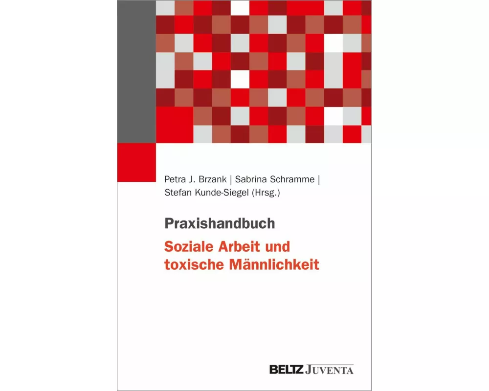 Praxishandbuch Soziale Arbeit und toxische Männlichkeit