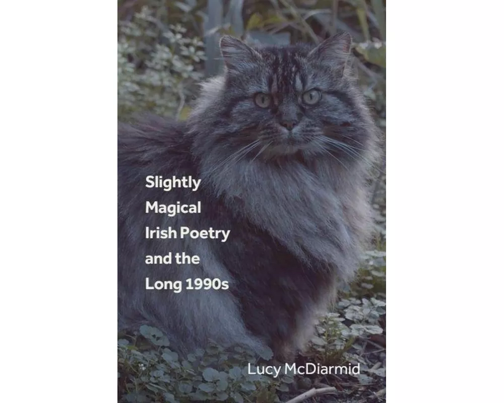 Slightly Magical Irish Poetry and the Long 1990s