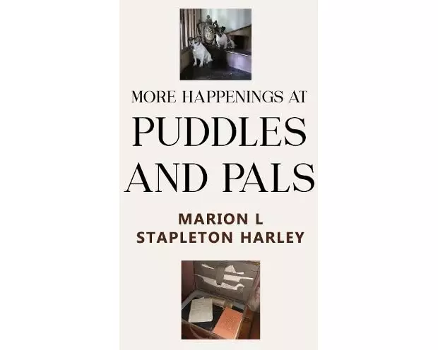 More Happenings at PUDDLES AND PALS