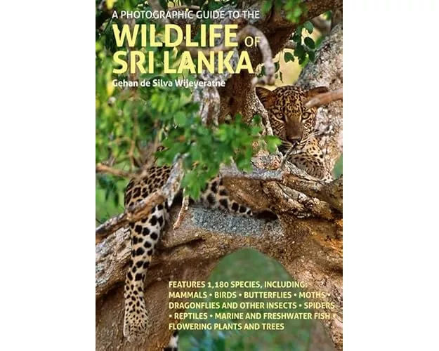 A Photographic Guide to the Wildlife of Sri Lanka
