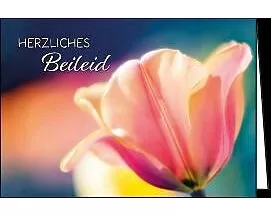 Doppelkarte. Herzliches Beileid (Tulpe)