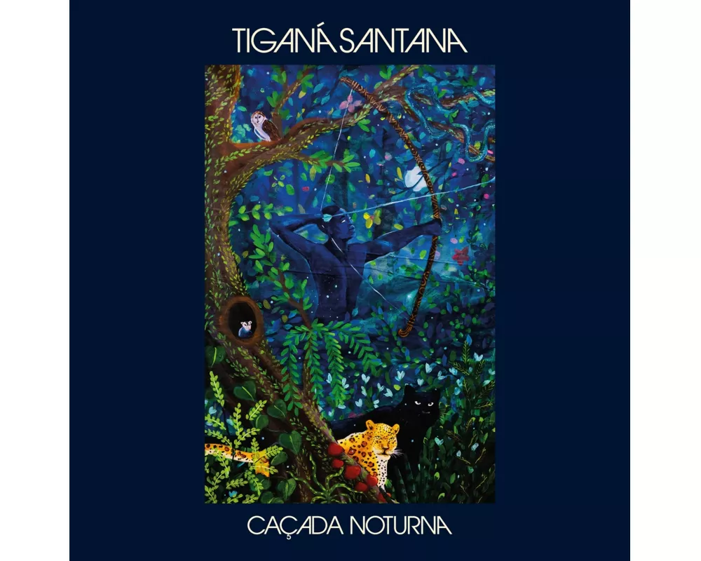 Cacada Noturna