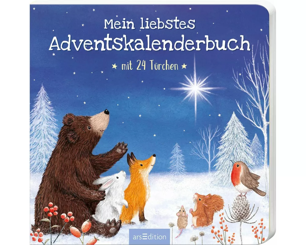 Mein liebstes Adventskalenderbuch