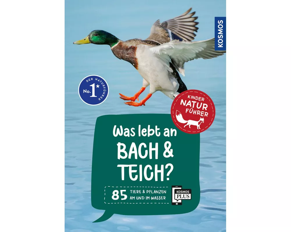 Was lebt an Bach und Teich? Kindernaturführer