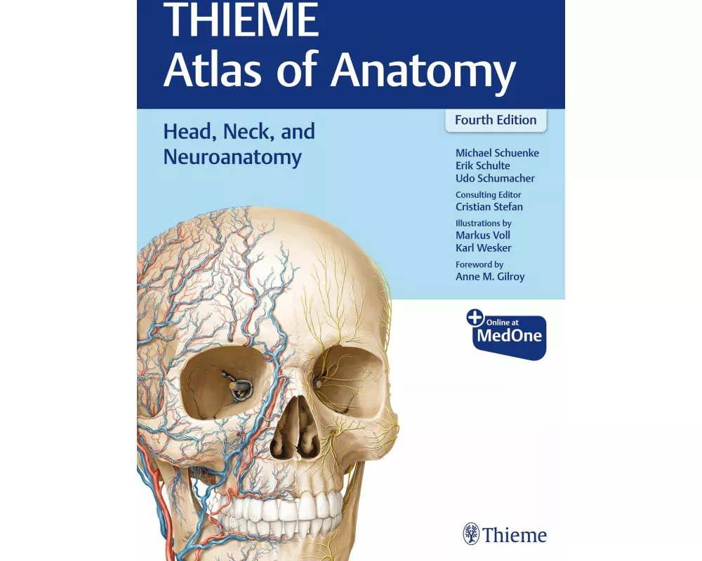 Head, Neck, and Neuroanatomy (THIEME Atlas of Anatomy)