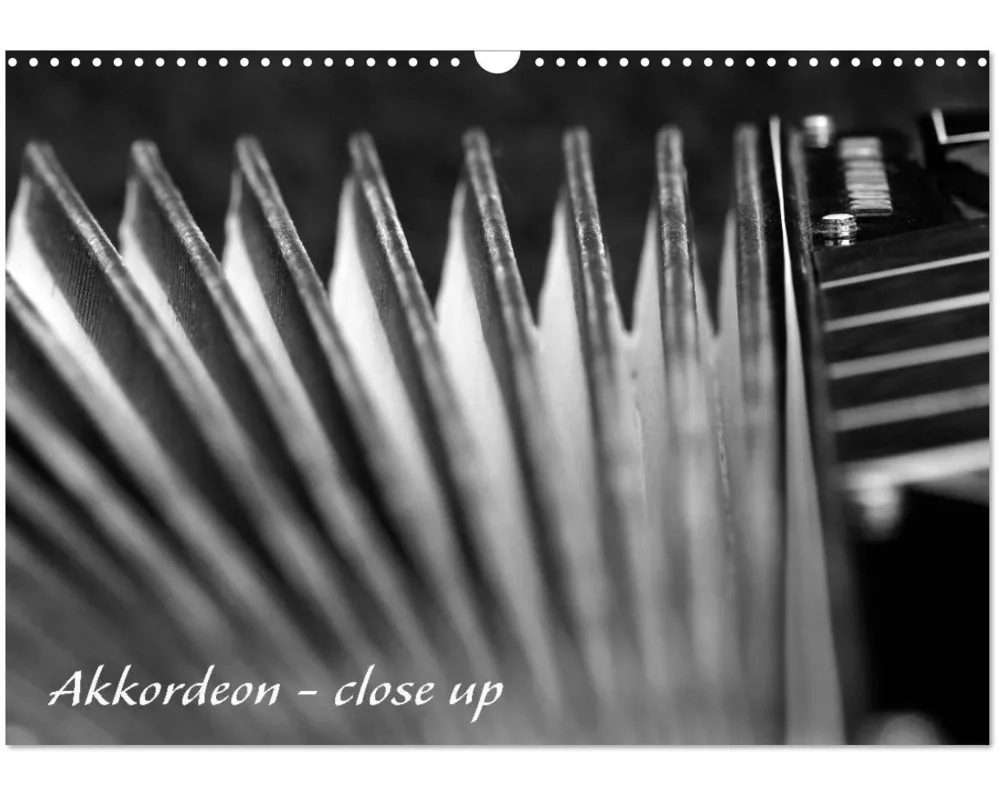 Akkordeon - close up (Wandkalender 2026 DIN A3 quer), CALVENDO Monatskalender