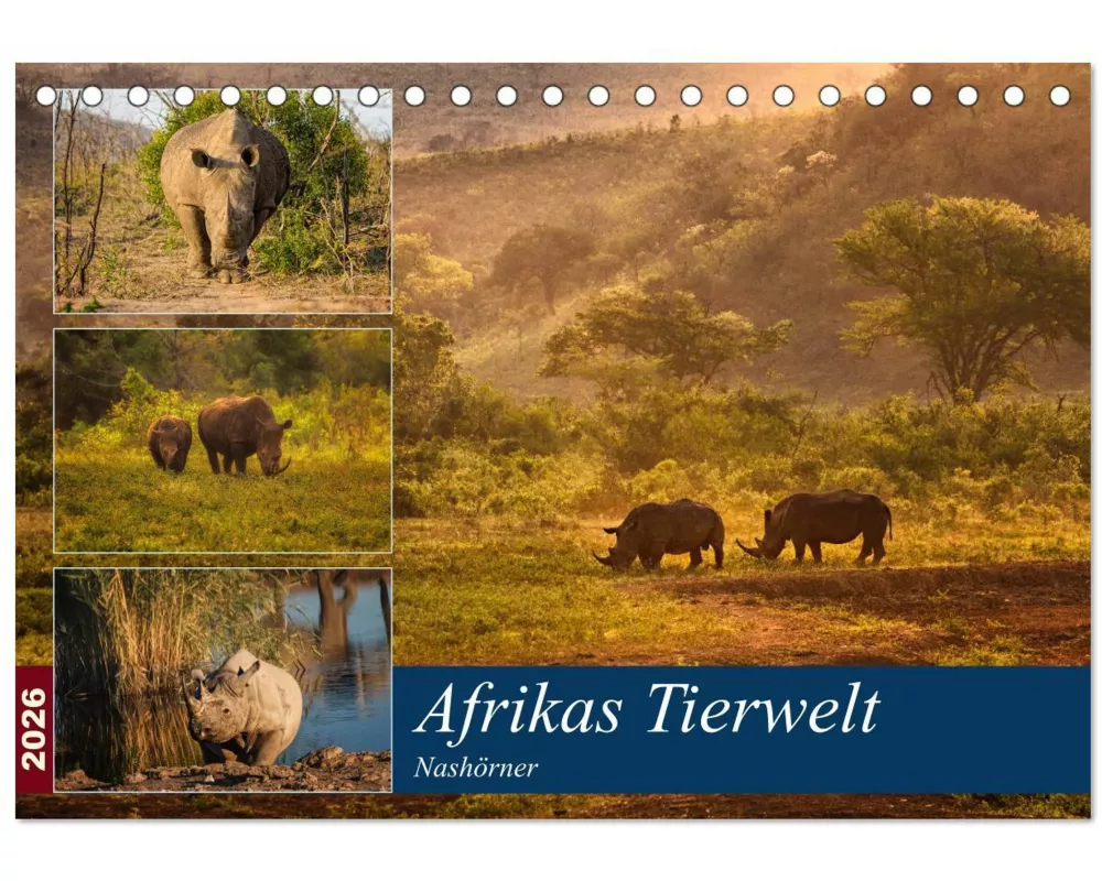 Afrikas Tierwelt: Nashörner (Tischkalender 2026 DIN A5 quer), CALVENDO Monatskalender