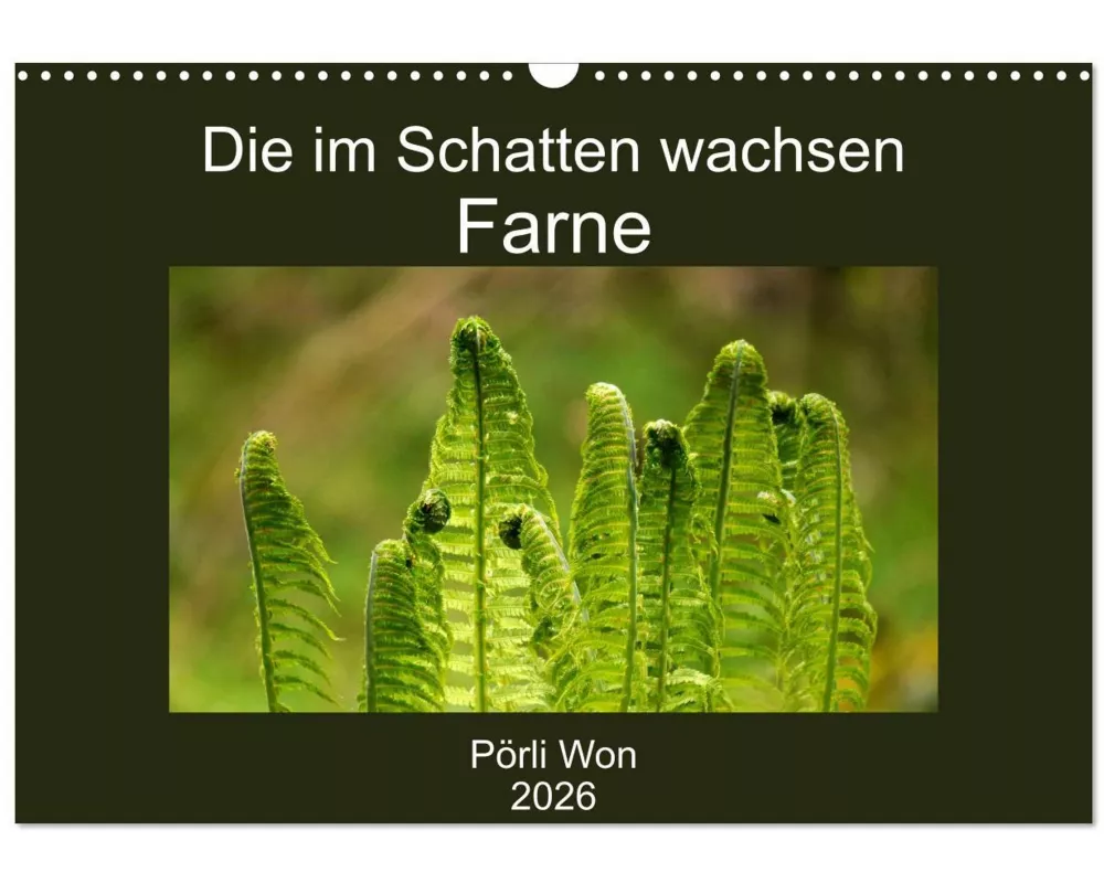 Die im Schatten wachsen - Farne (Wandkalender 2026 DIN A3 quer), CALVENDO Monatskalender