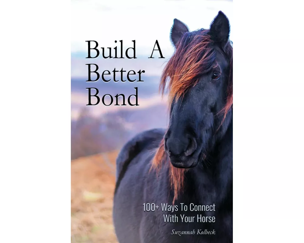 Build A Better Bond