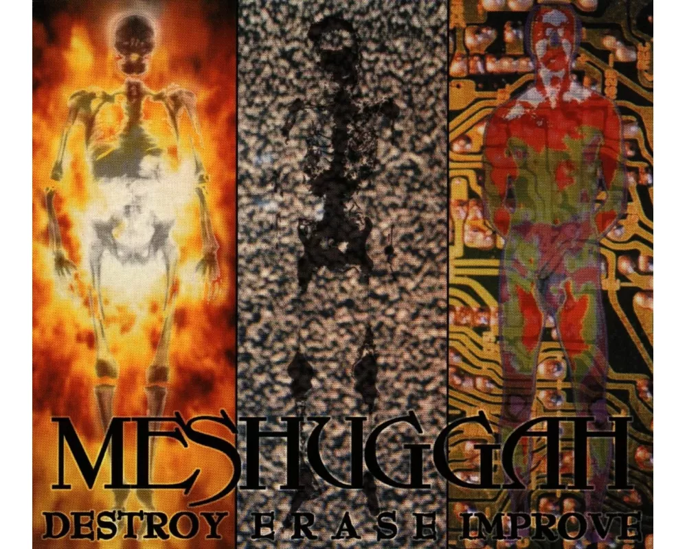 Destroy Erase Improve