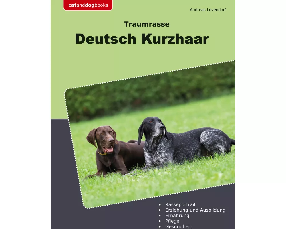 Traumrasse Deutsch Kurzhaar