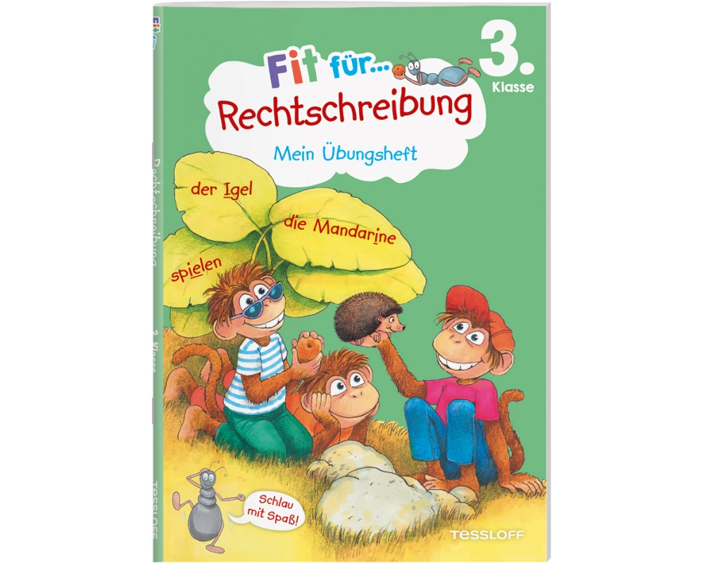 Fit für Rechtschreibung 3. Klasse. Mein Übungsheft