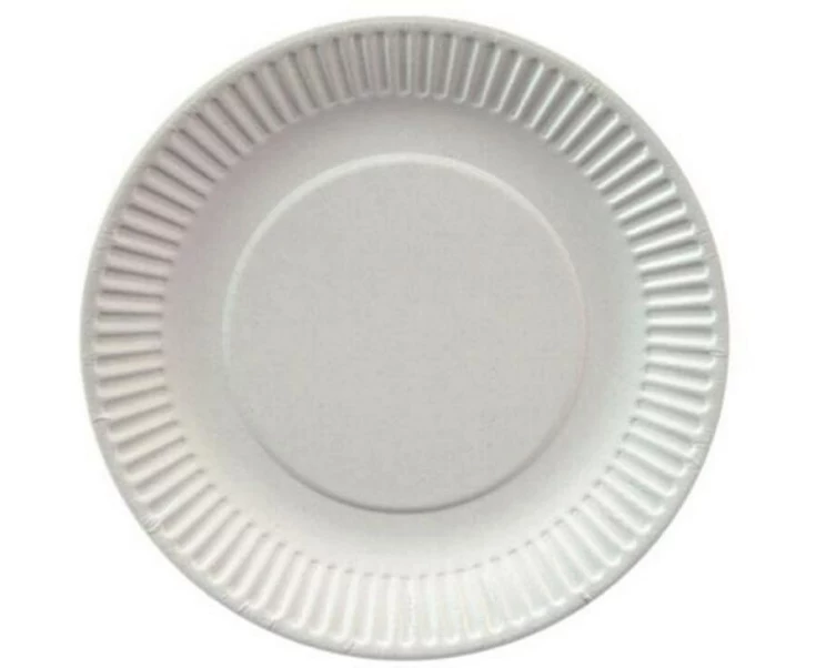 Papstar Einwegteller Pure rund D 19 cm 100 Stück