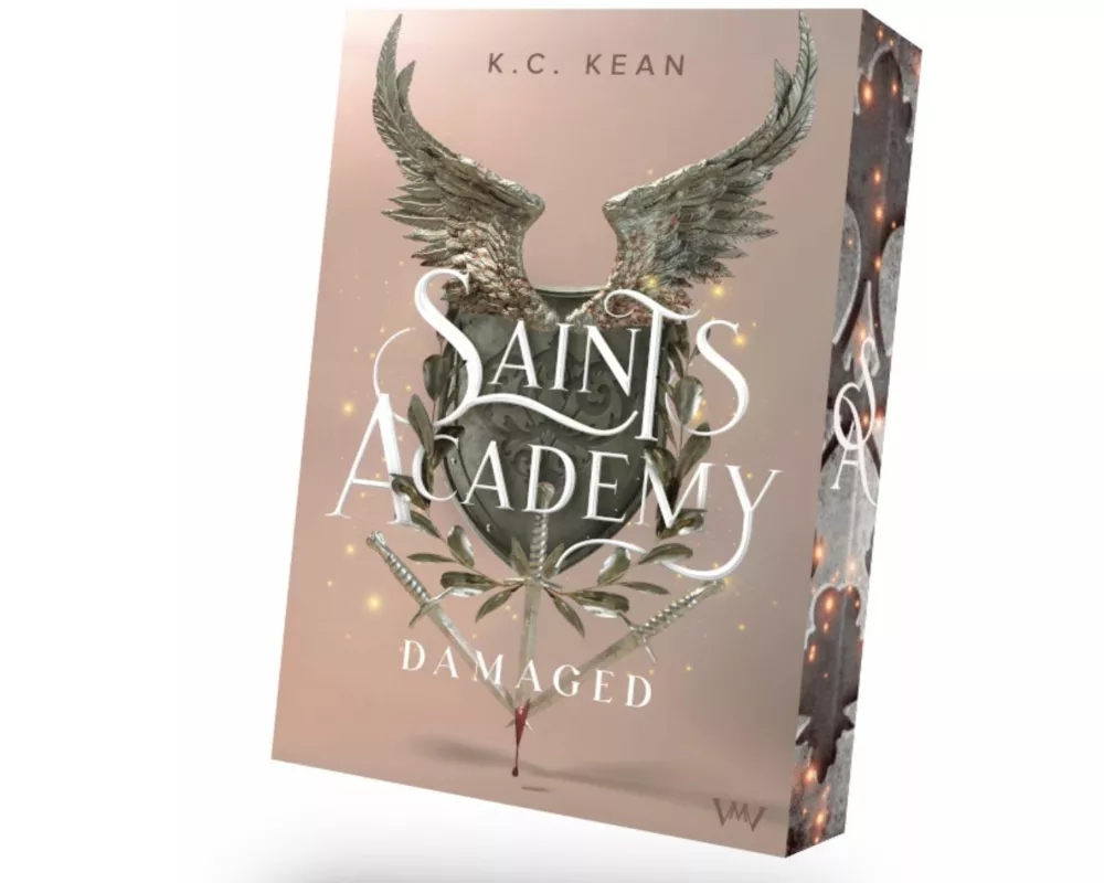 Saints Academy 2 - Damaged