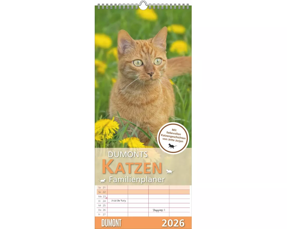 DUMONTS - Katzen Kalender 2026 – Familienplaner 20x45 cm – mit liebevollen Katzenmotiven & Texten von Jette Jordan, 4 Spalten für die ganze Familie