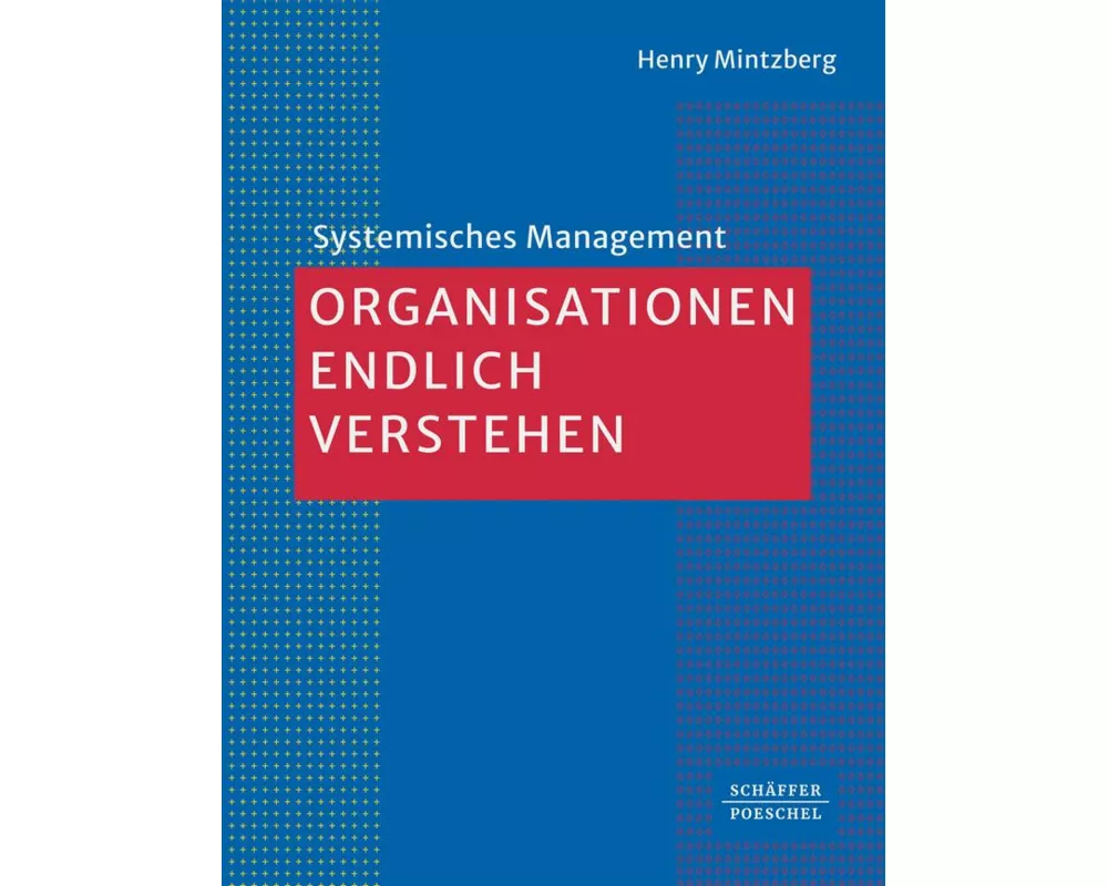 Organisationen endlich verstehen