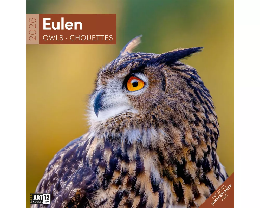 Eulen Broschürenkalender 2026 - 30x30 - Art12