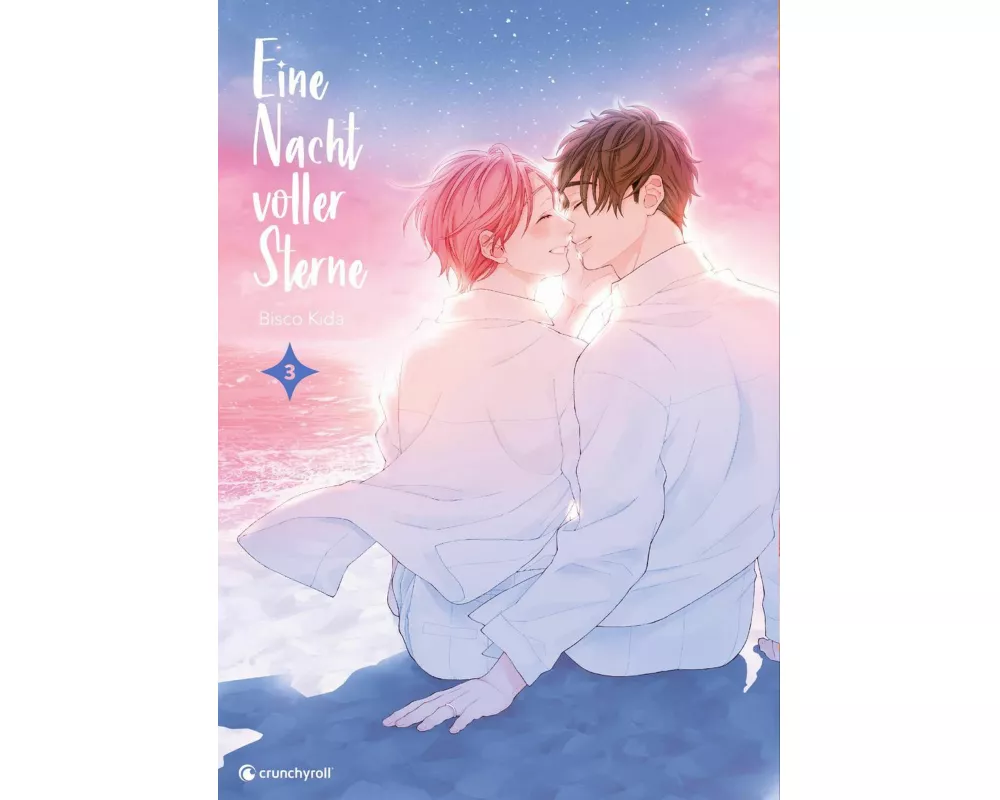 Eine Nacht voller Sterne – Band 3 (Finale)