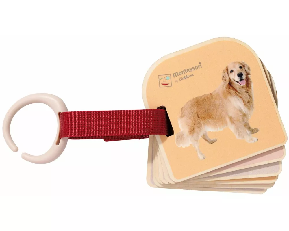 EH Montessori Bilderbuch