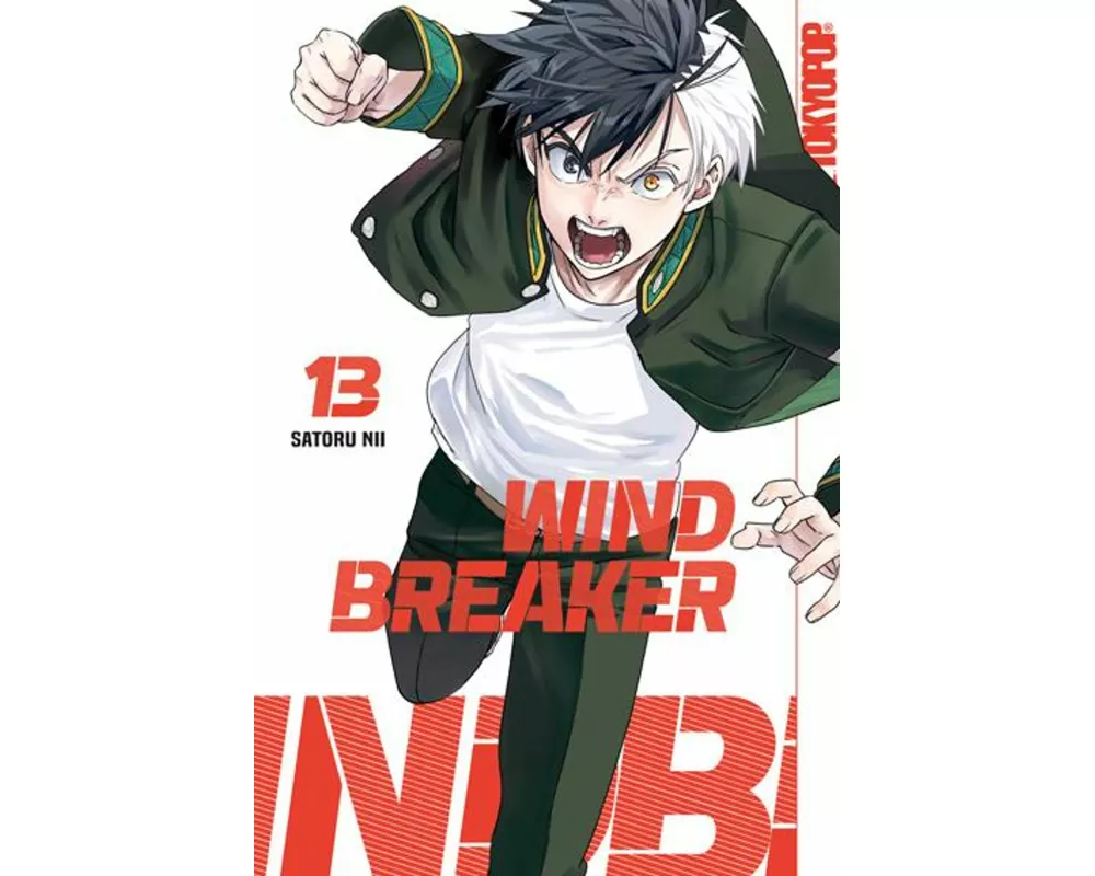 Wind Breaker 13