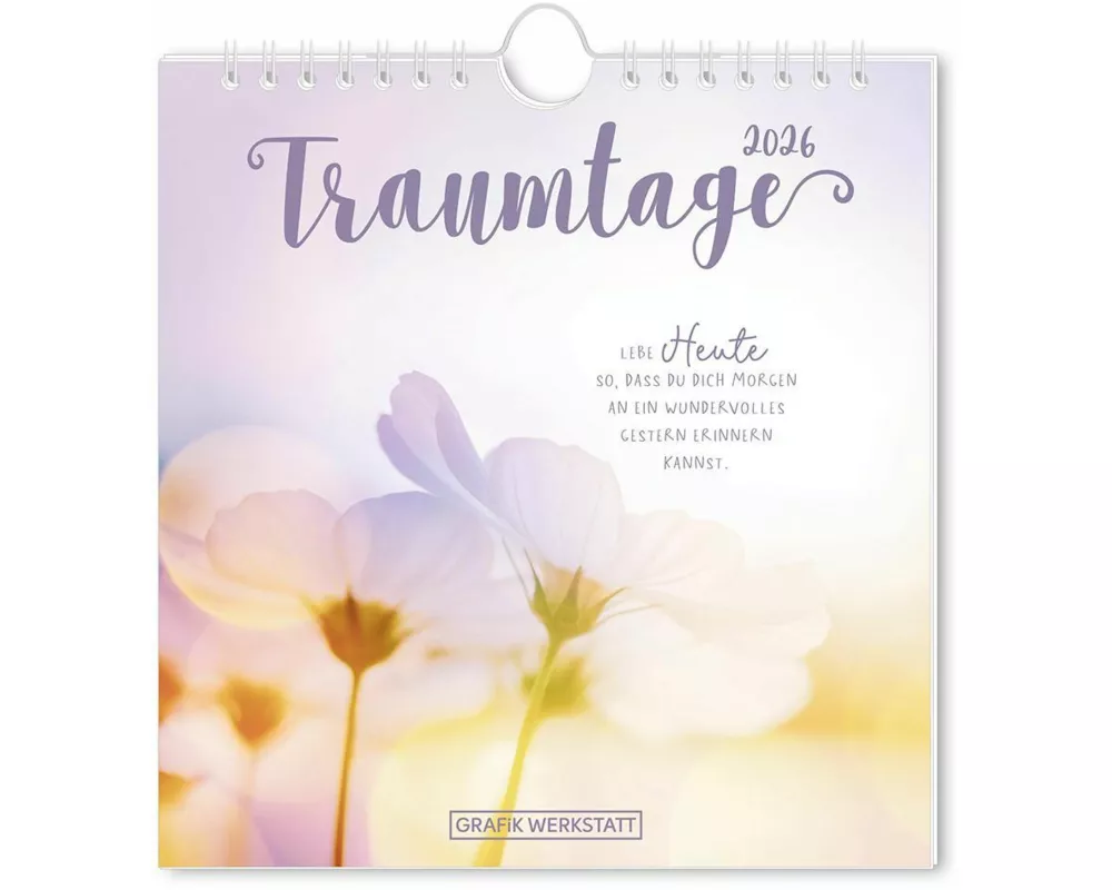 Postkartenkalender 2026 Traumtage