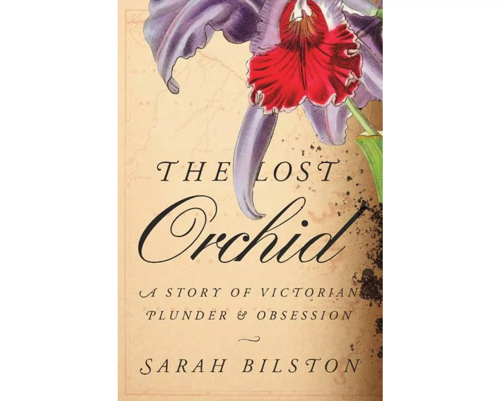 The Lost Orchid