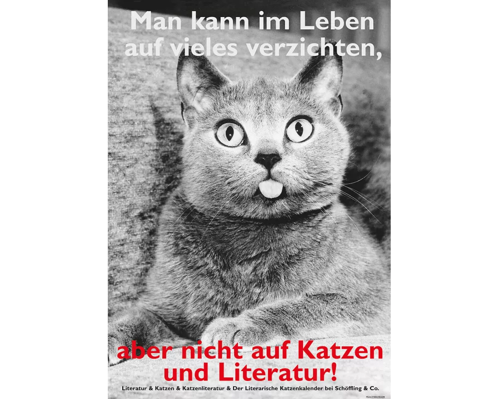 Postkarten Katzen und Literatur (VE10)