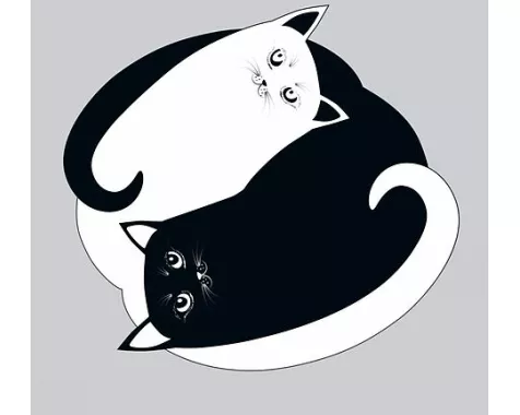Postkarten Katzen Ying Yang (VE10)