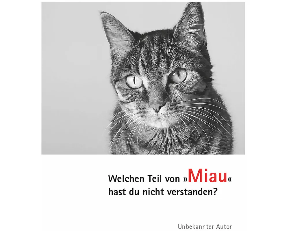Postkarten Katzen Miau (VE10)