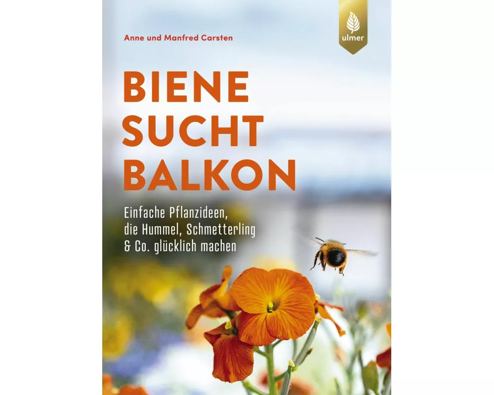 Biene sucht Balkon