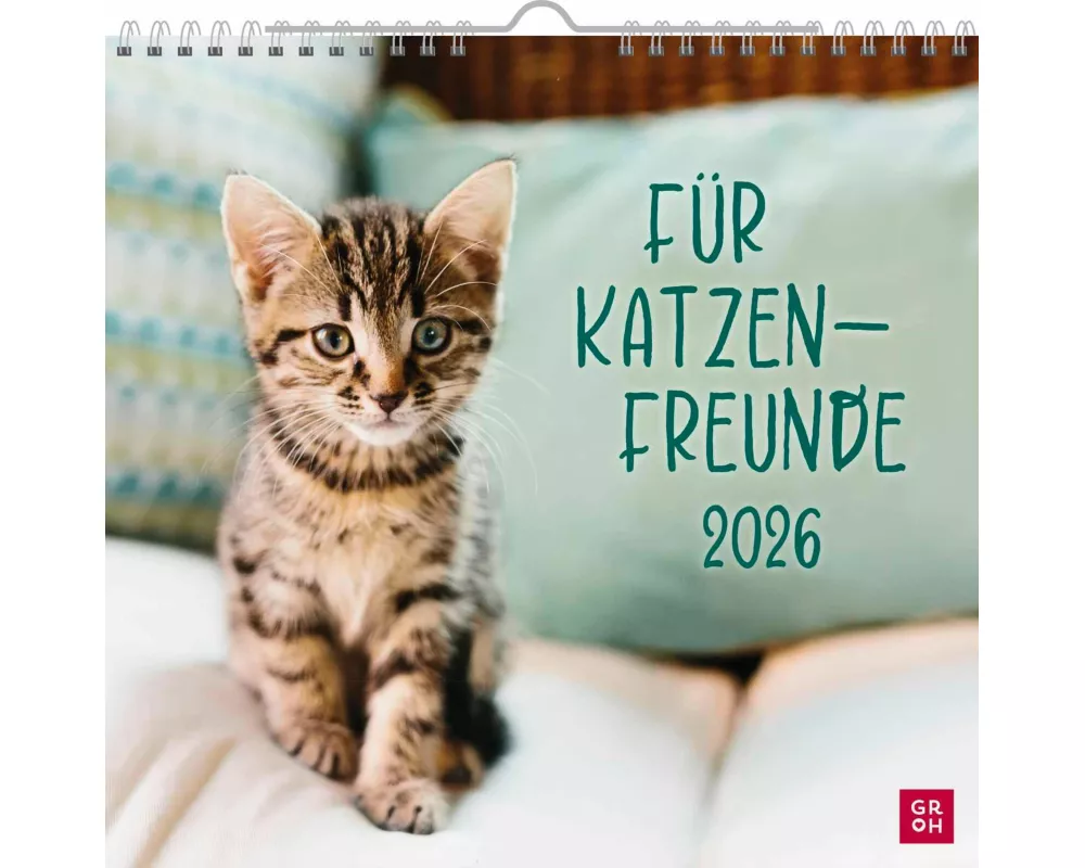 Wandkalender 2026: Für Katzenfreunde