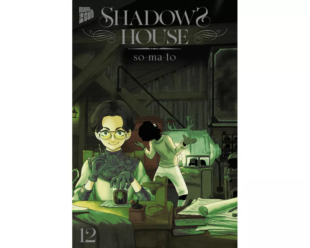 Shadows House 12