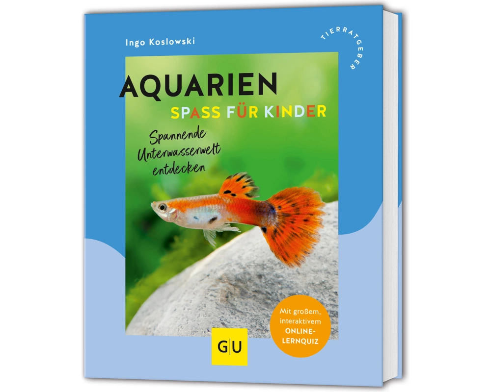 Aquarien - Spaß für Kinder
