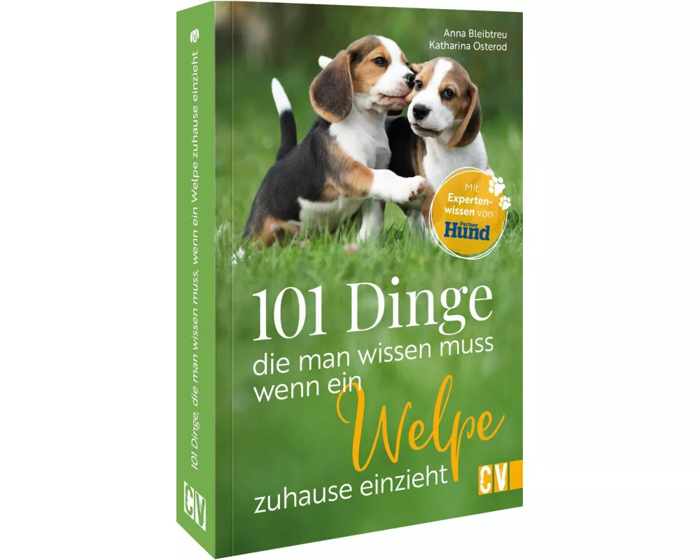 101 Dinge, die man wissen muss, wenn ein Welpe zuhause einzieht