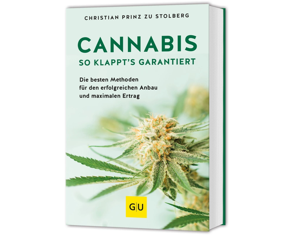 Cannabis
