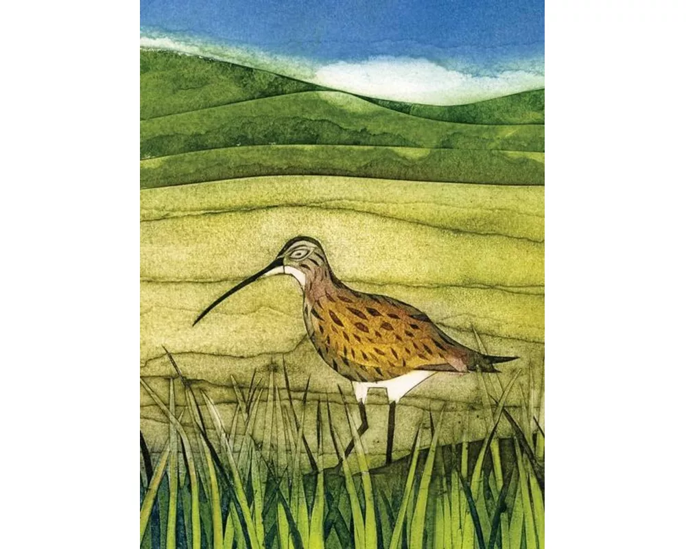Wild Birds Pocket Notebook: Curlew