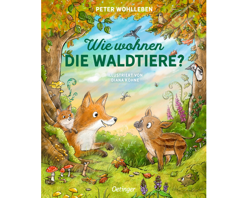 Wie wohnen die Waldtiere?