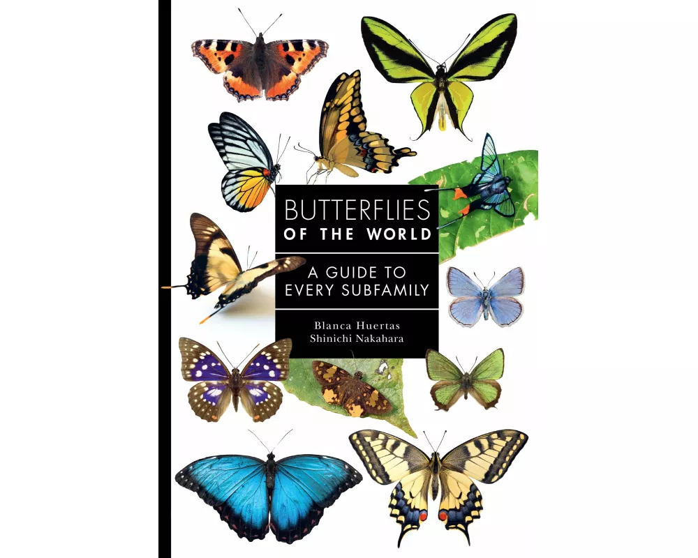 Butterflies of the World