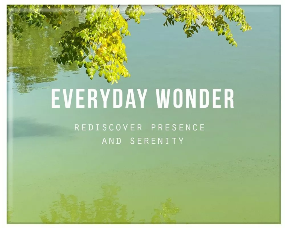 Everyday Wonder