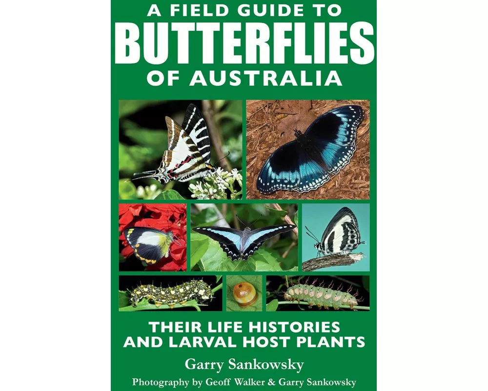 A Field Guide to Butterflies of Australia