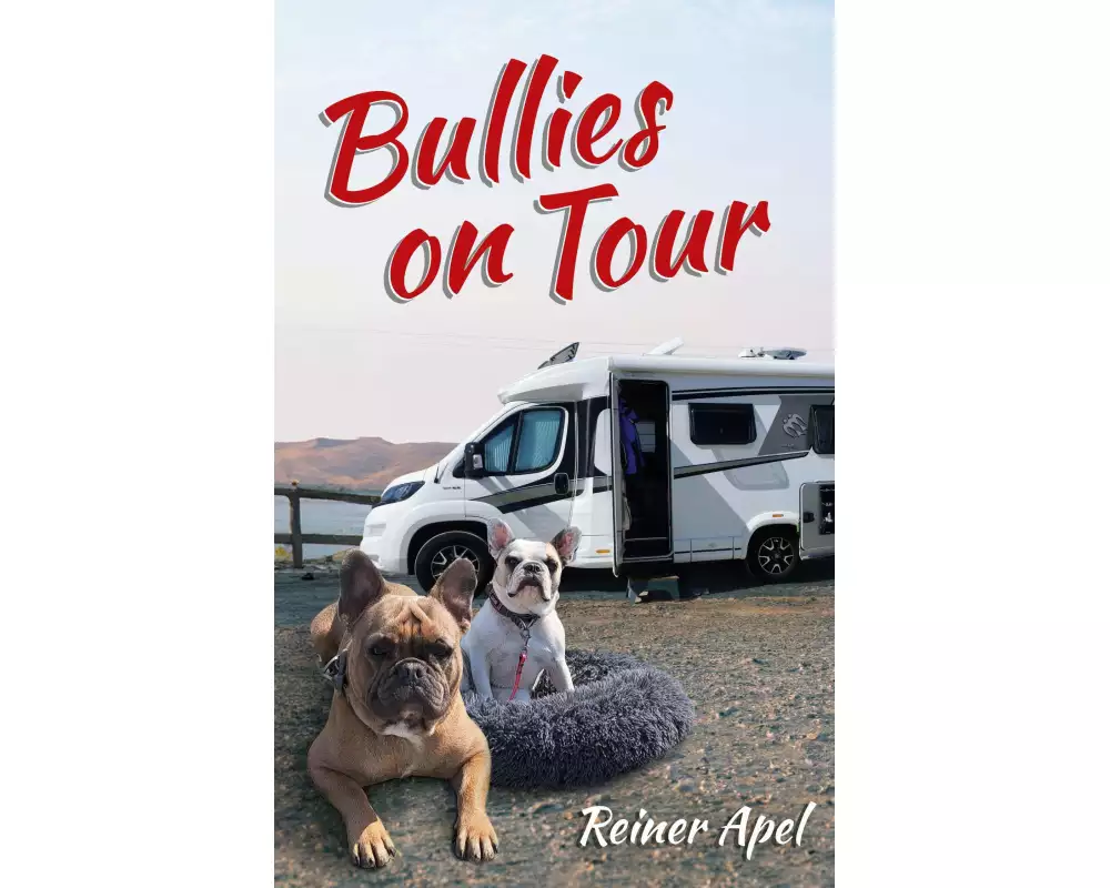 Bullies on Tour