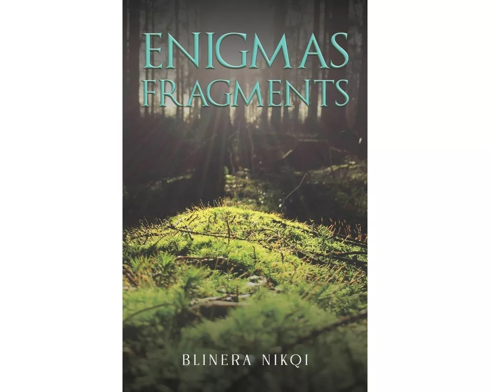Enigmas Fragments