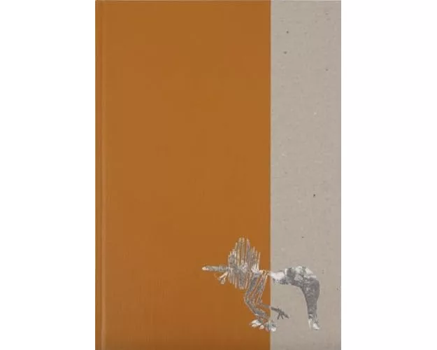 Diplodoclus 2014-2021