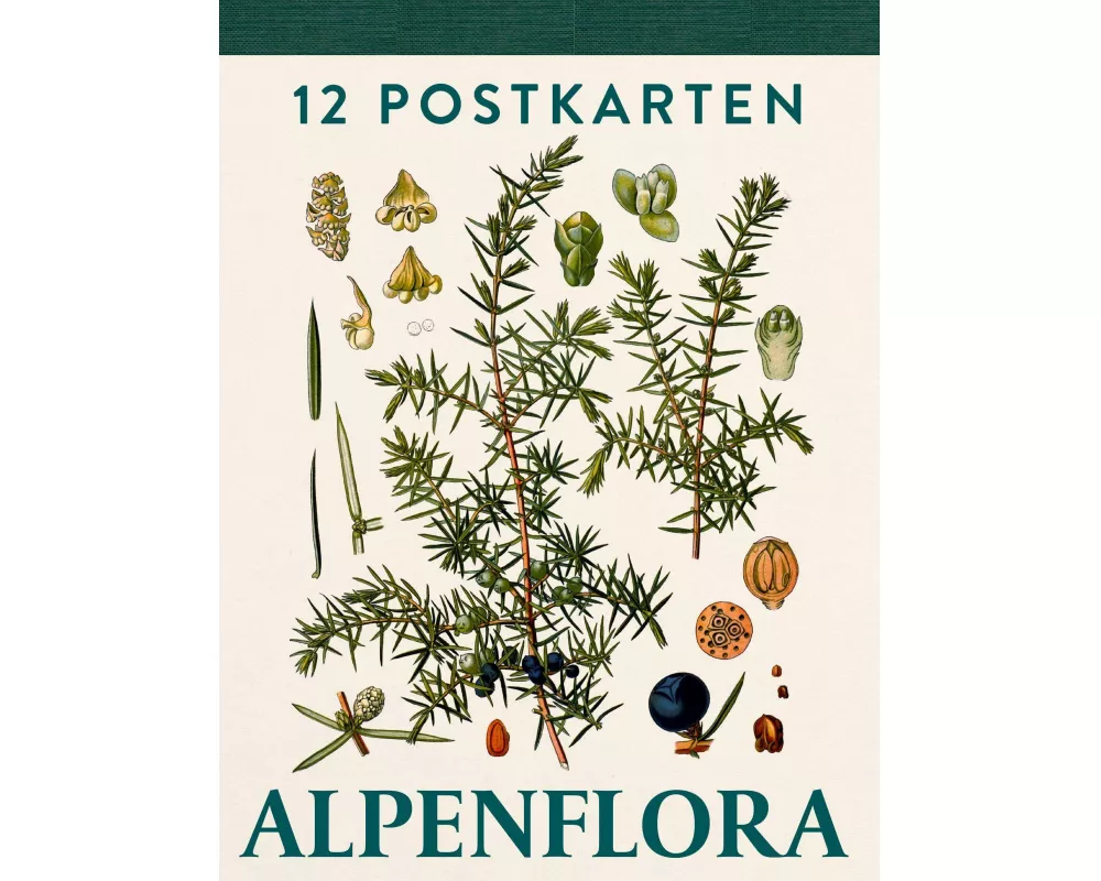 Alpenflora