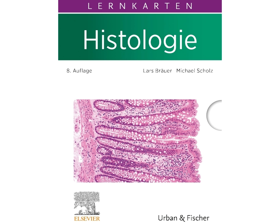 Lernkarten Histologie