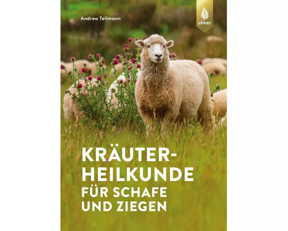 Kräuterheilkunde für Schafe und Ziegen