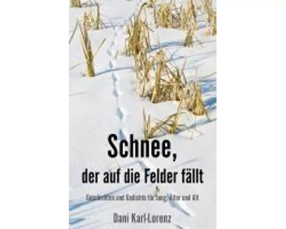 Schnee, der auf die Felder fällt