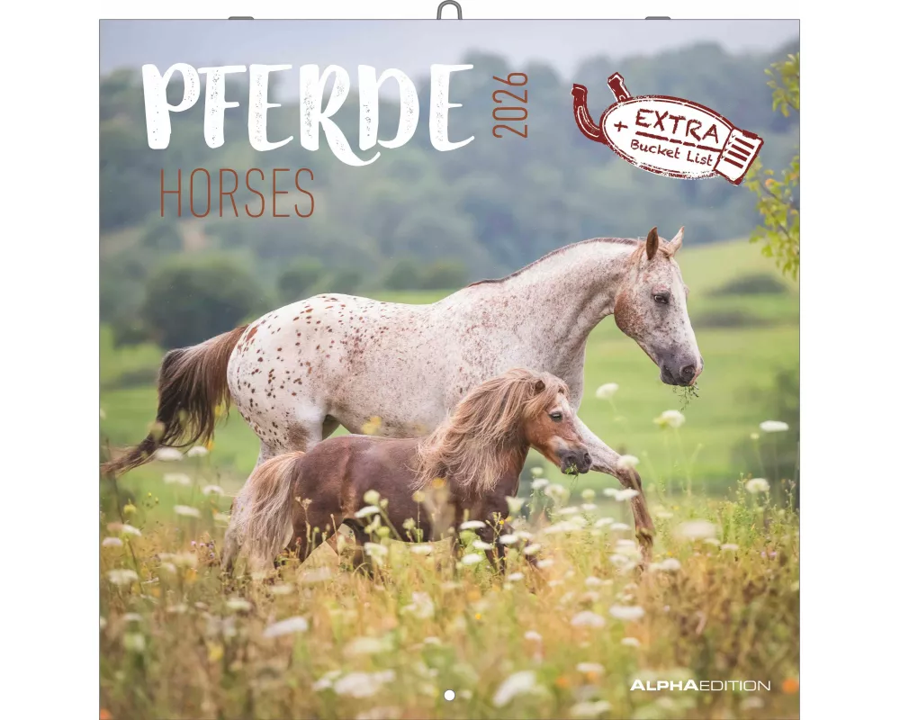 Alpha Edition - Pferde Kalender 2026 – Wandkalender & Bildkalender 30x30 cm – Für Reit- & Pferdefreunde – 12 beeindruckende Pferde-Fotografien, viel P
