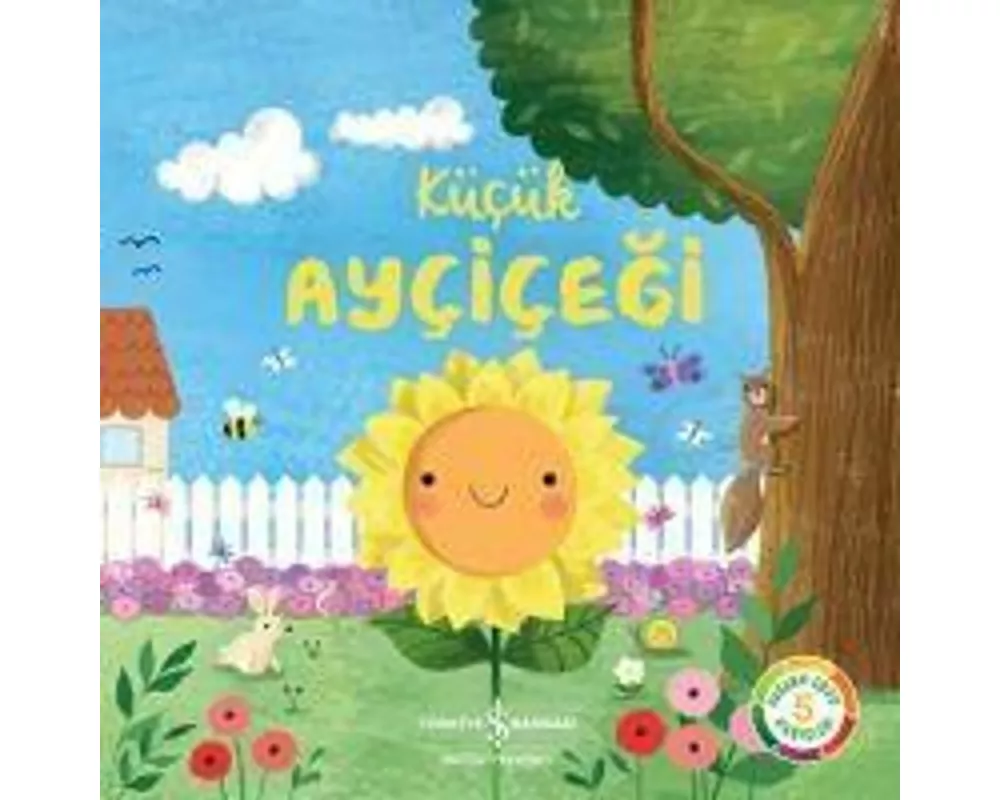 Kücük Aycicegi